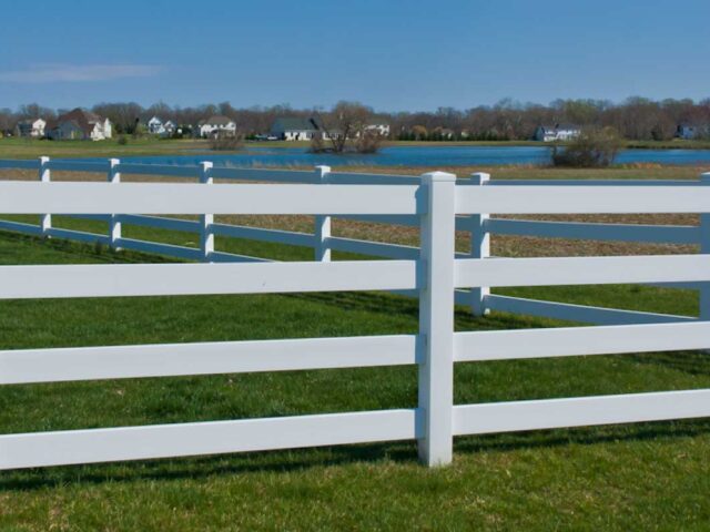 White 4-Rail