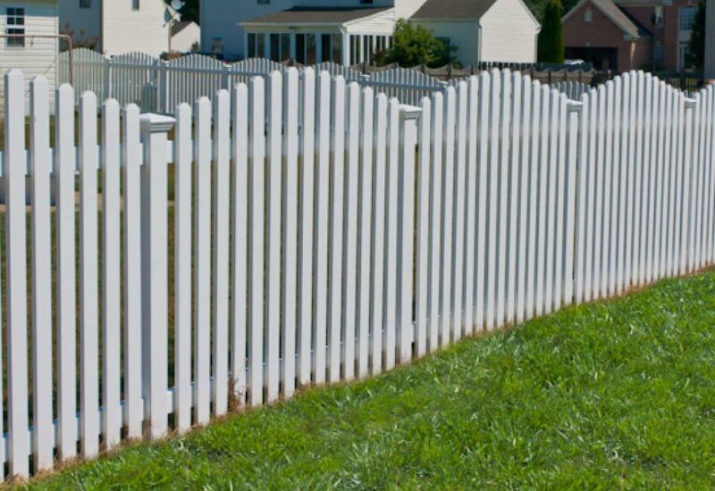 Baynard White Baynard with Dog Ear Picket Caps