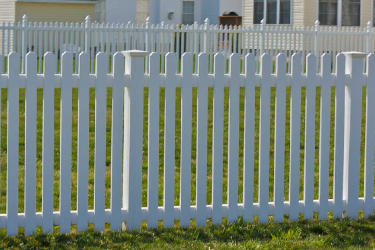 White Claymont with Dog Ear Picket Caps