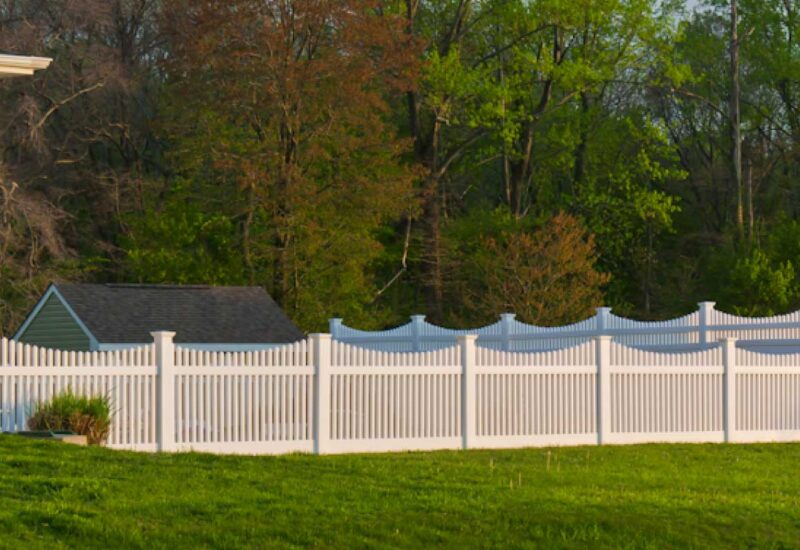 Pocomoke White Pocomoke