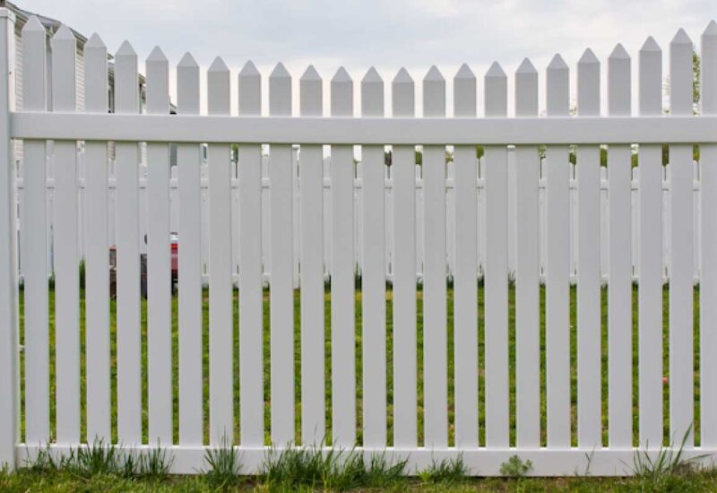 Taylor White Taylor with Sharp Picket Caps