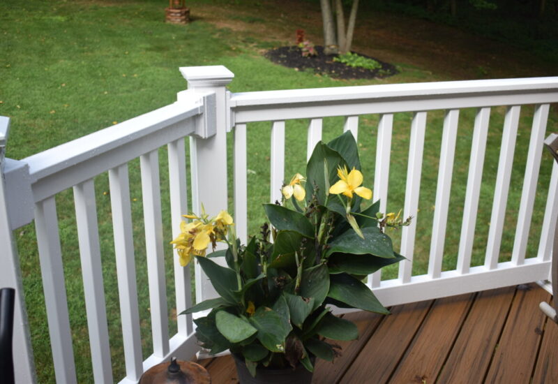 100 Series White 100 Series