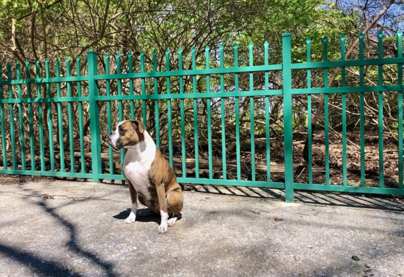 Custom Sailwind Custom Green Industrial Sailwind Flush Bottom