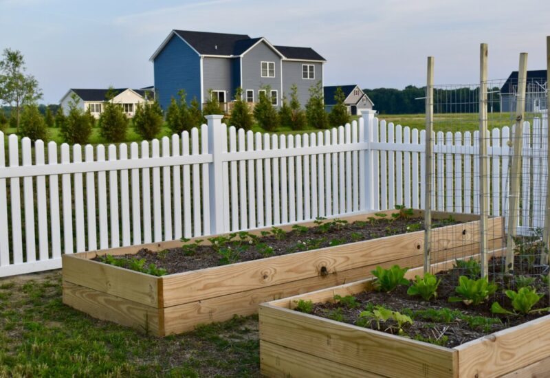 Courtyard White Courtyard with Dog Ear Picket Caps