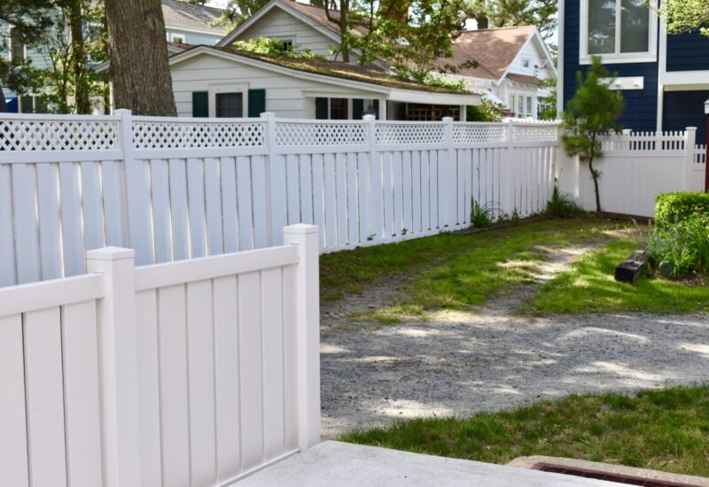 Norfolk White Norfolk in back, White Carroll in front